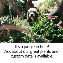 Ask about our plants and custom details!